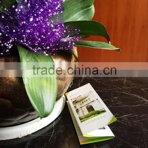 Foldable Coloring Print Flyer/Leaflet/poster/map/calendar/portfolio/booklet/menu thumbnail-1