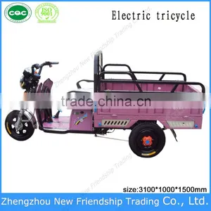 Cargo Delivery Small 3 Wheel Electric Trike Tricycle Rickshaw thumbnail-1
