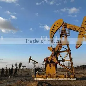 API DOUBLE HORSE HEAD PUMPING thumbnail-2