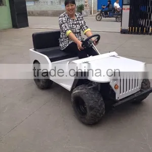 Car Bodies thumbnail-4