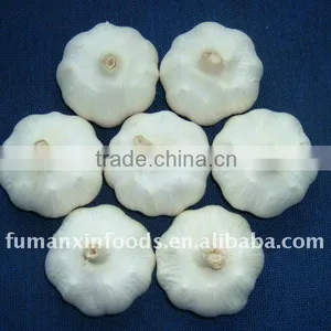 Chinese Garlic thumbnail-1