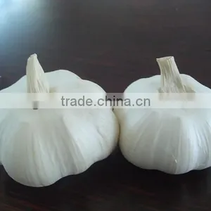 Fresh Garlic, New Crop White With Red Garlic thumbnail-1
