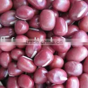 Small Red Beans New Crop thumbnail-1