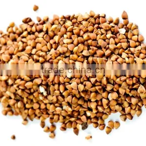 BUCKWHEAT GRAIN thumbnail-2