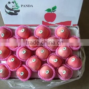 Hot Sale Fuji Apple thumbnail-4
