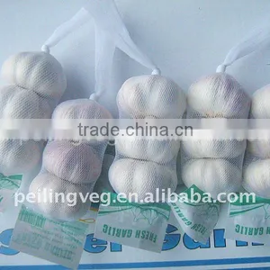 4.5cm Pure White Garlic (chinese) thumbnail-1