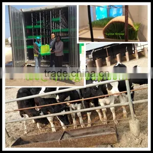 High Germination Rate Hydroponic Fodder Machine thumbnail-1
