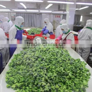 Frozen Vegetables thumbnail-2