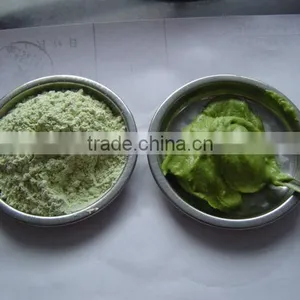Wasabi Paste 43 thumbnail-1
