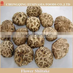 Dried Flower Mushroom thumbnail-1