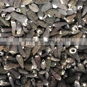 Chinese New Crop Dried Cultivated Morchella Conica Morel Mushroom thumbnail-2