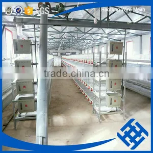 Wholesale Chicken Cage H Type Best Price Poultry Farm Egg Layer thumbnail-2
