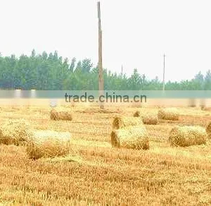 Hot Sale Neweek Agricultural Round Baling Small Hay Baler for Sale thumbnail-2