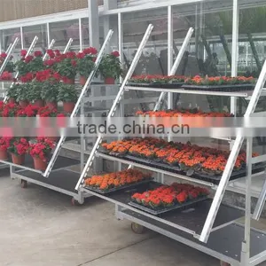 Flower Display Shelf / Flower Trolley/ Flower Transport Cart thumbnail-1