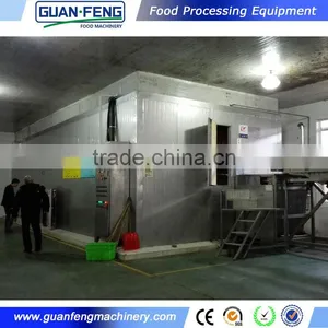 IQF System Quick Freezer For Fruits Blueberry Processing Machine thumbnail-6