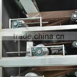 Multiple Layer Continuous Type Mesh Belt Dryer for Rosebud thumbnail-3
