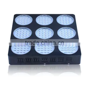 Aaa Quality High Power Tamato Seeds From Shenzhen Factory thumbnail-3