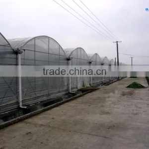 Cheap Flat Roof Greenhouse thumbnail-4
