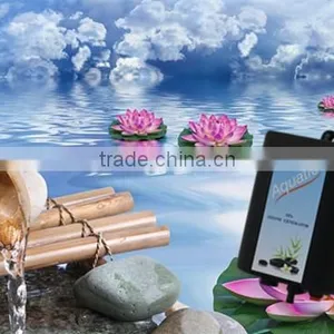 300 Mg/h Newest Version Hot and Cheap Portable Ozone System SPA With CE Certification thumbnail-2