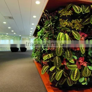 Environmental Protection Artificial Green Wall Succulent Plant Wall thumbnail-4