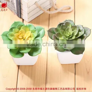Cheap Artificial Succulents Plants Plastic Plants thumbnail-1