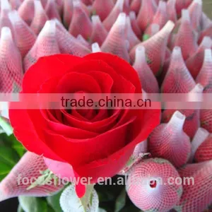 on Line Shopping Fresh From Kenya Rose Flower Anthurium for Banquets thumbnail-5