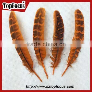 Comfortable Ornate Short Prom Dresses With Fly Tying Pheasant Feathers thumbnail-1