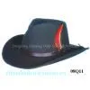 New Style Cowboy Hat With Feather thumbnail-1