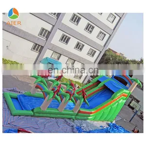 2017 Aier Cheap Inflatable Water Slides/super Fun Inflatable Slide thumbnail-4