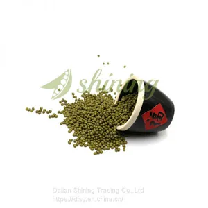 Chinese New Crop Sprout Mung Bean for Sale thumbnail-2