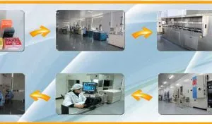 Hebei Niusida International Trading Co.,Ltd company overview - view 3 thumbnail