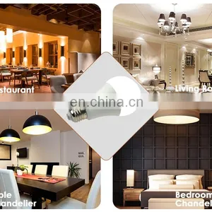 Led Light Supplier 5W LED Light Bulb With 3 Years Warranty thumbnail-7