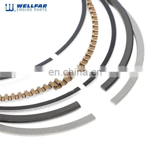 Auto Machine Engine Part TDI, 2486cc Sprinter Piston Ring Kit 79.5mm for 80E3451 thumbnail-2
