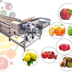 Upgrade Of Cleaning And Preservation Equipment To Ensure The Quality Of Fresh Fruits And Vegetables thumbnail-1