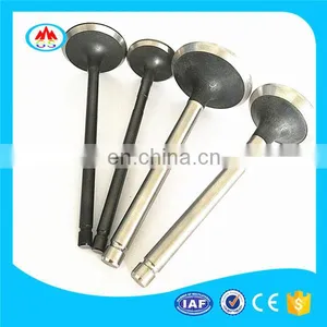Motorcycles HighEST Grade Engine Valve for Wongan WJ300GS WJ300 thumbnail-2