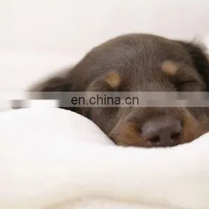 High Quality Luxury Pet Bed Soft Dog Bed Sofa Easy Clean Warming Dog Bed for All Kinds of Dog thumbnail-6