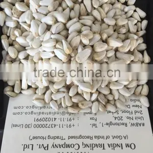 SAFFLOWER SEEDS INDIAN thumbnail-1