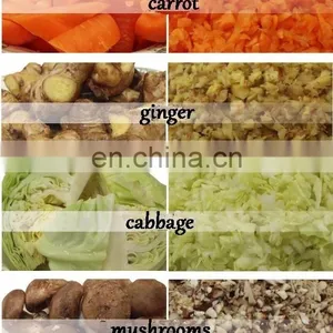 High Quality Cheap Price Automatic Vegetable Shredder / Cabbage Grinding Machine / Vegetable Cutting Machine for Sale thumbnail-5