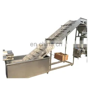 Hot Sale Quick-frozen Green Peas Processing Production Line thumbnail-2