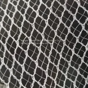 Anti Bee Net in Citrus Trees thumbnail-1