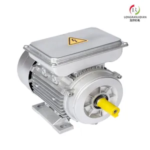 CE Certification of YL Series Single-phase Motor thumbnail-2