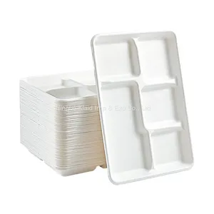 5 Compartment Compostable Tableware Disposable Biodegradable Dinnerware Sugarcane Bagasse Trays thumbnail-2