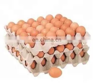 Waste Paper Recycle Used Egg Tray Machine/automatic Paper Pulp Egg Tray Production Line/small Machine Making Egg Tray thumbnail-5