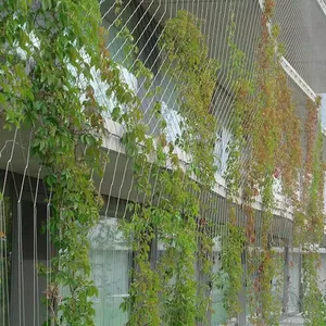 Flexible Stainless Steel Cable Rope Mesh/Aviary Mesh/Bird Netting thumbnail-2