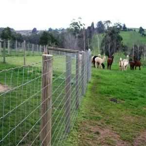 Australian Standard Galvanized Cattle Crush Panels for Livestock Handling Equipment thumbnail-3