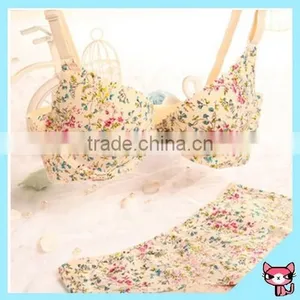 Ladies Sexy Panty and Bra Sets thumbnail-1