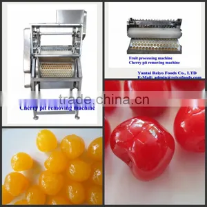 Seed Removing Machine / Cherry Seed thumbnail-1