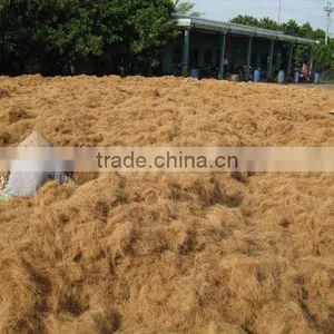 Coconut Fibre thumbnail-1