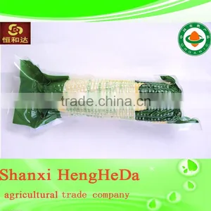 Hybrid Yellow Corn thumbnail-1