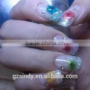 Stickers & Decals Cheap 3D Dry Flower, Mix 12 Color Decorations Real Dried Dry Flower for Nail Art Decorations ZX:GH741 thumbnail-2